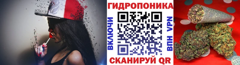 Купить наркотики цена Рошаль Каннабис  Alpha PVP  Галлюциногенные грибы  Меф мяу мяу 
